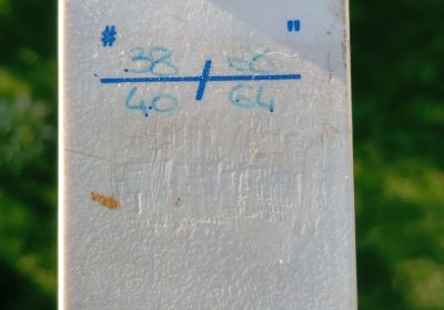 1000003431
