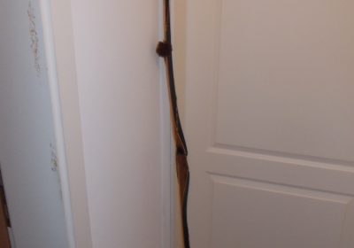 DSCN00431