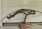 IMG_20261005_144709
