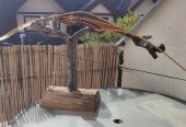 IMG_20261005_144844